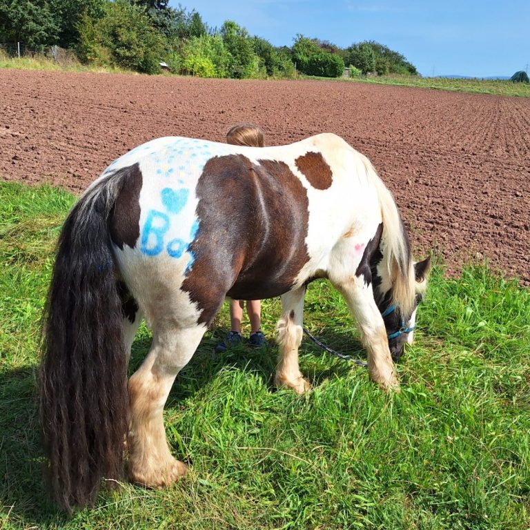 Bild von den Ferienspielen
